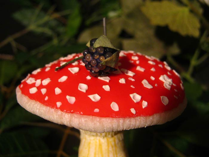 Fairy Tale Sibylle, the Mushroom, the Blackberry